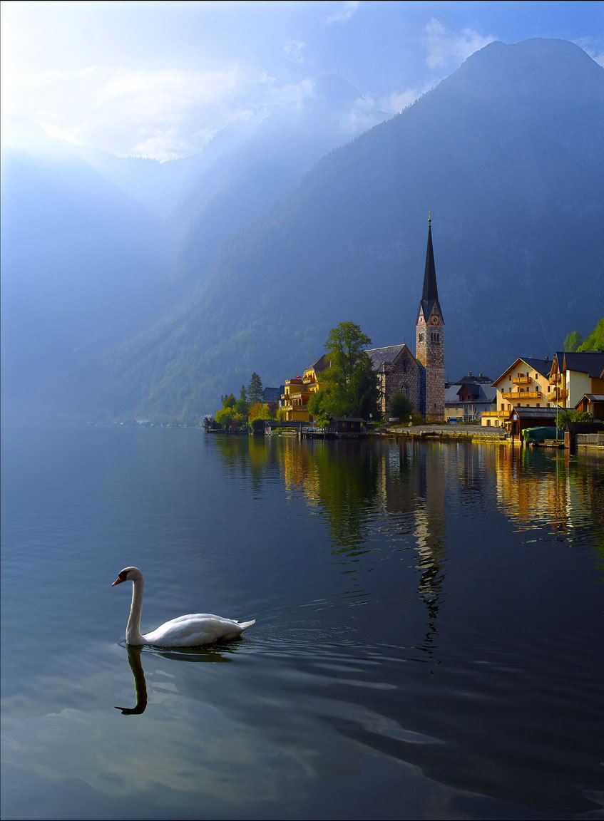 Featured Image