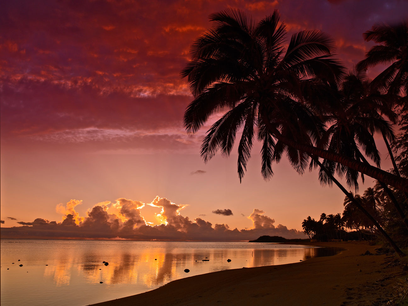 Featured Image