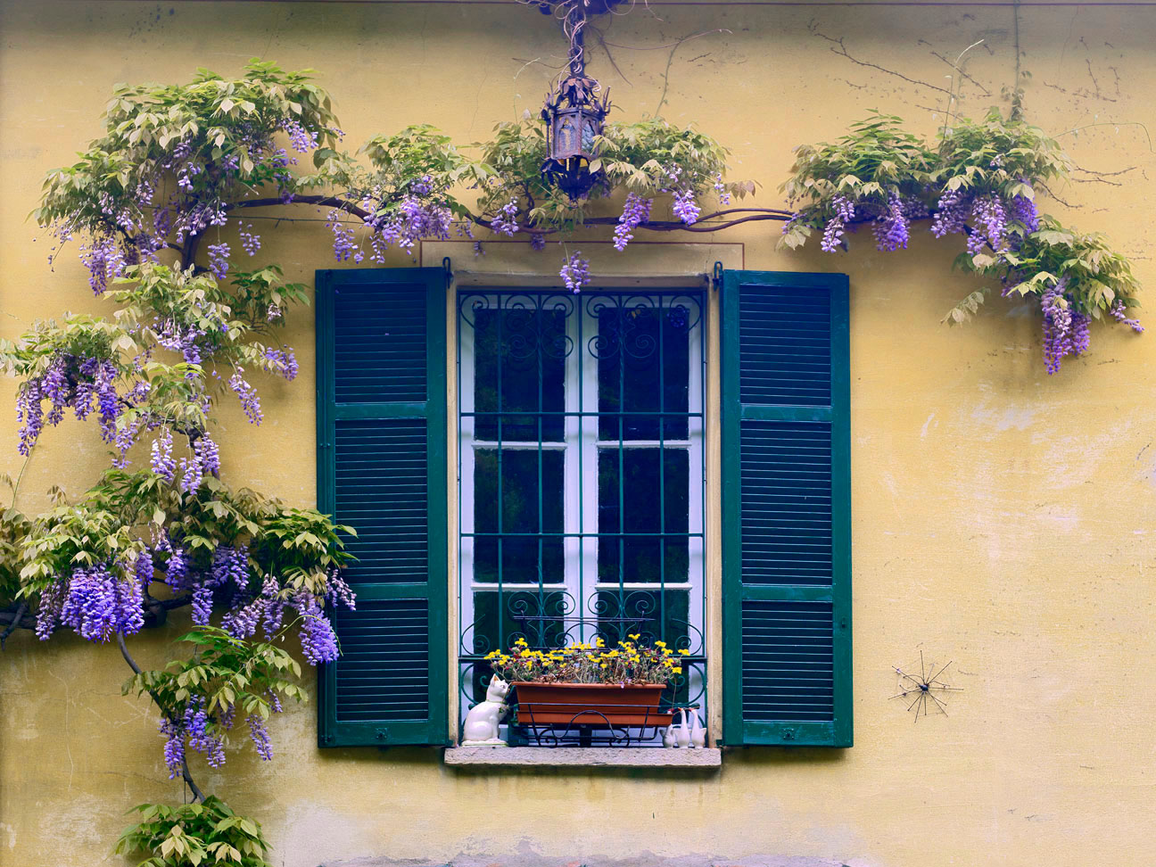 Featured Image