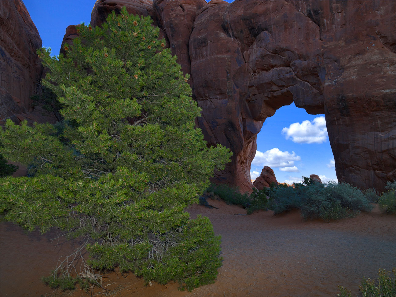 Featured Image