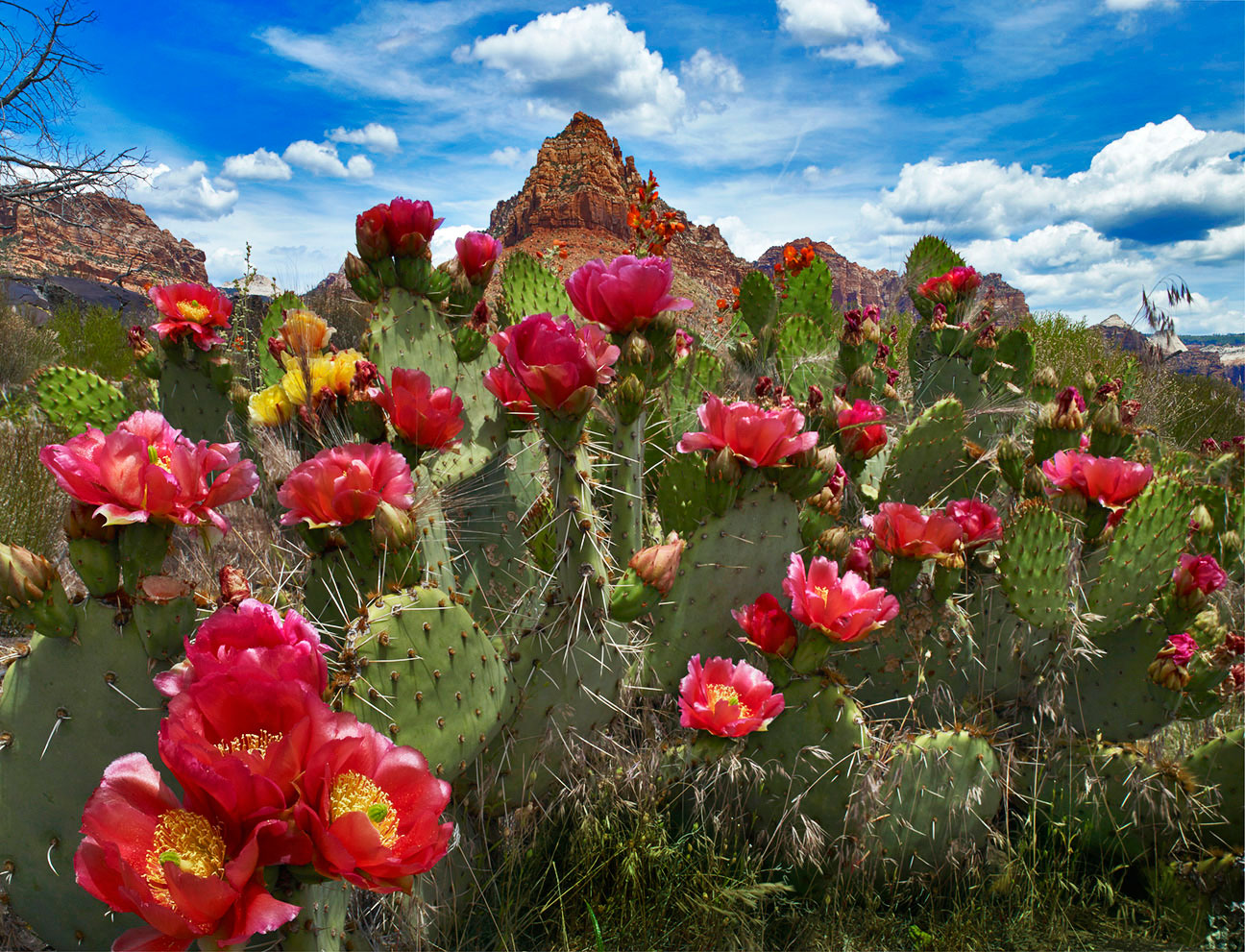 Featured Image